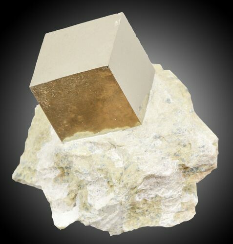 Pyrite Cube In Matrix - Navajun, Spain #31121